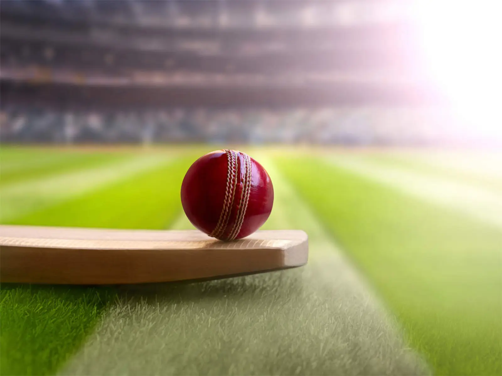Cricket Pitch